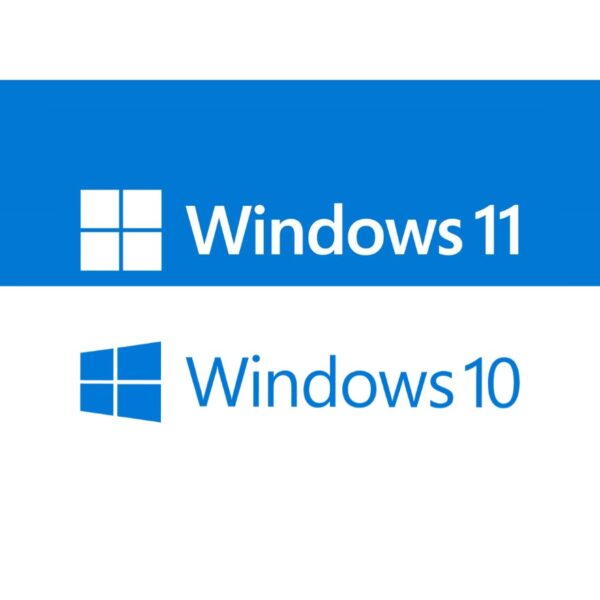 Windows 10 or 11 Professional